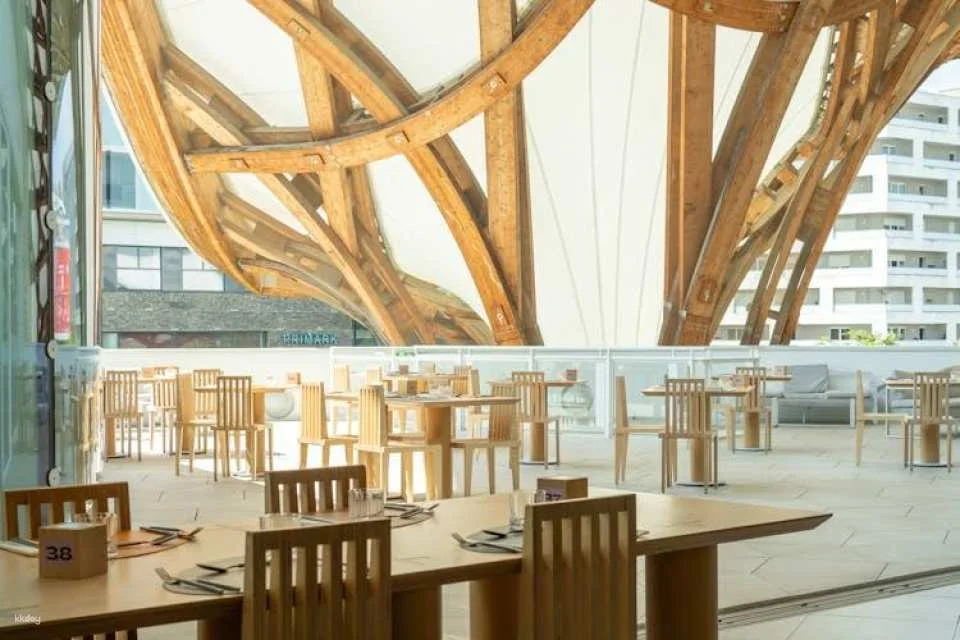 Centre Pompidou-Metz entrance ticket