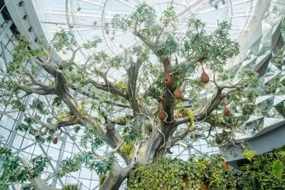 The Green Planet general admission and F&B meal