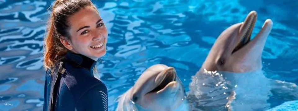 Mundomar dolphin encounter