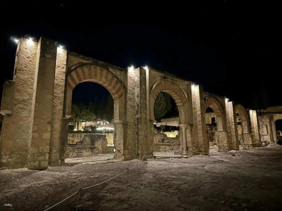 Guided night visit to Medina Azahara
