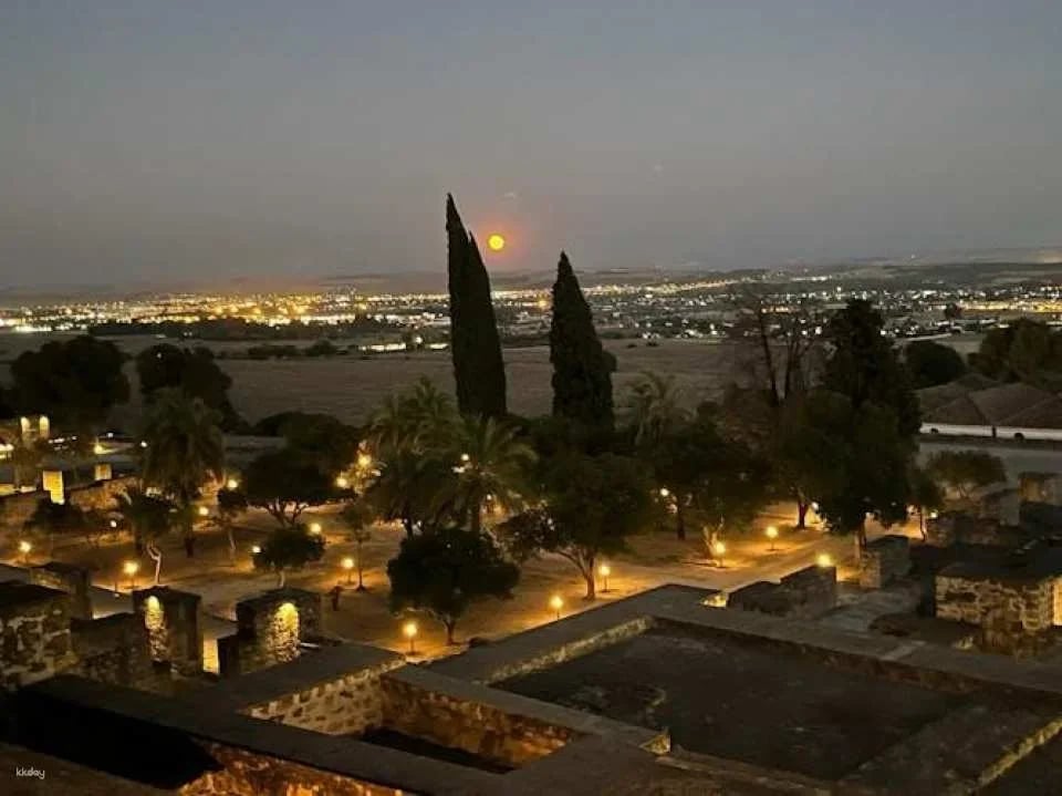 Guided night visit to Medina Azahara