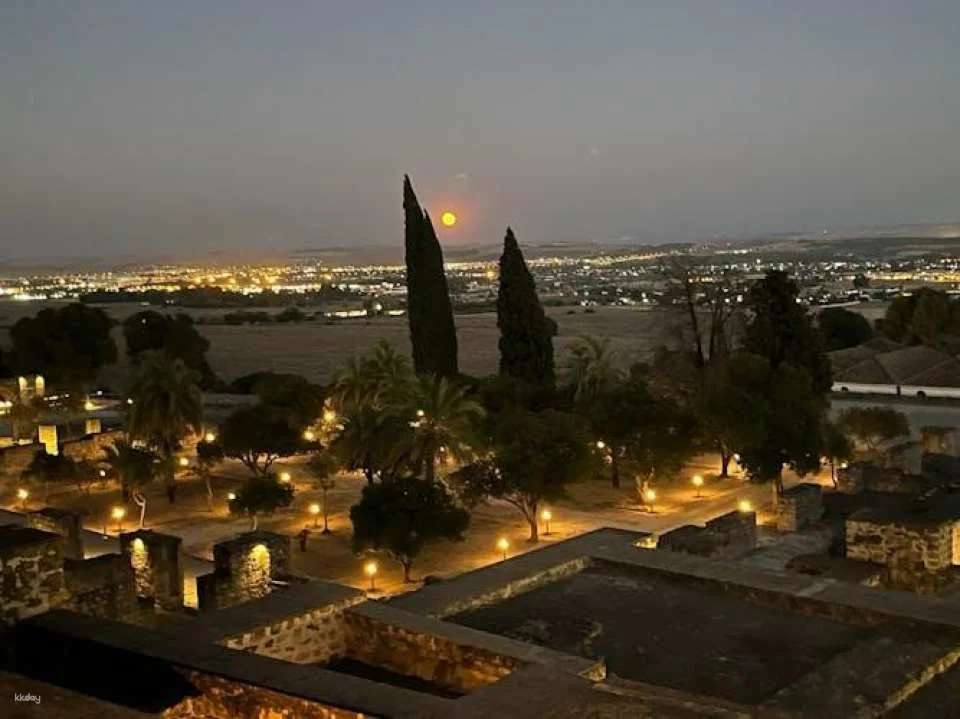 Guided night visit to Medina Azahara