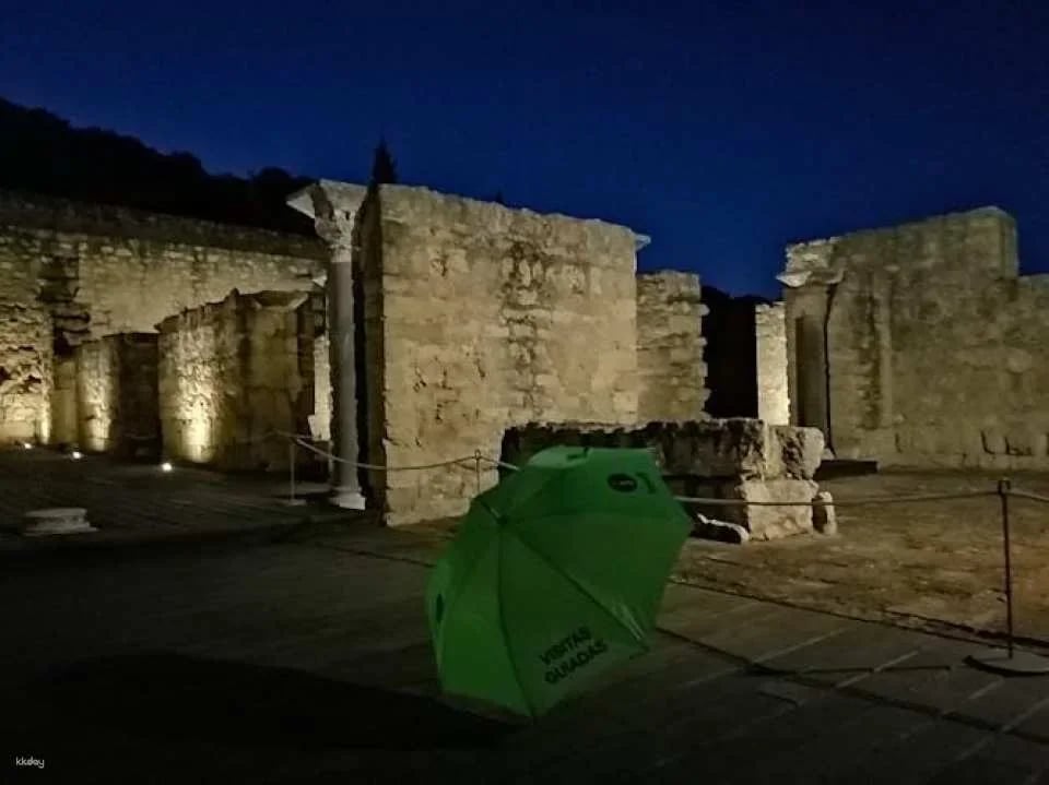 Guided night visit to Medina Azahara