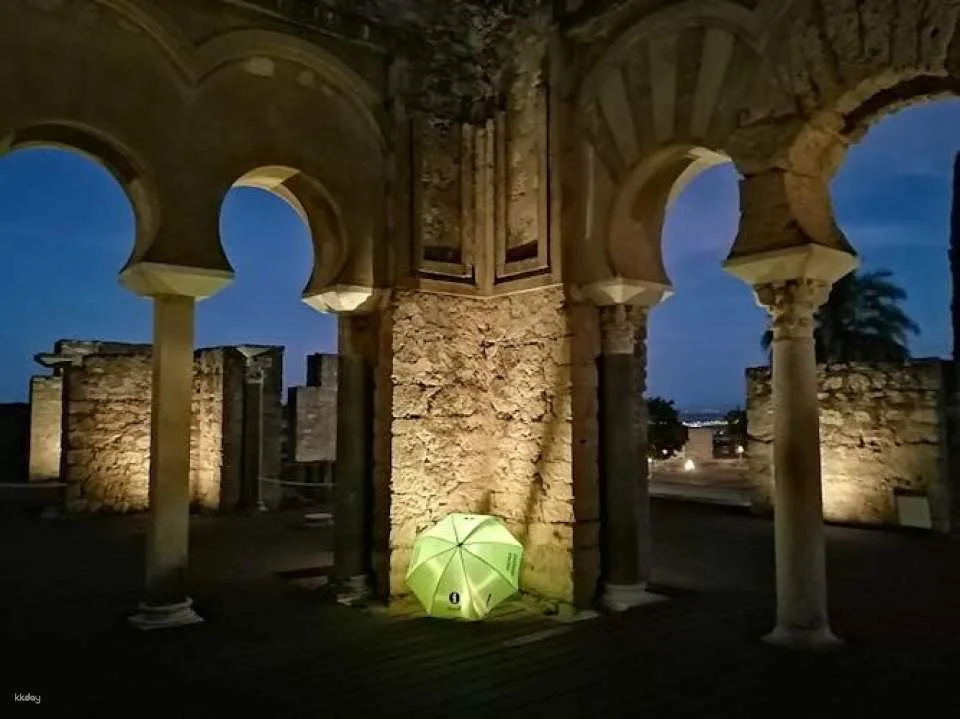 Guided night visit to Medina Azahara