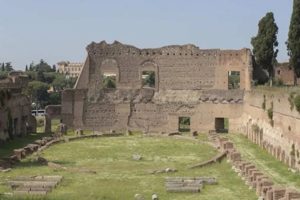 Guided tour of Colosseum, Roman Forum and Palatine Hill