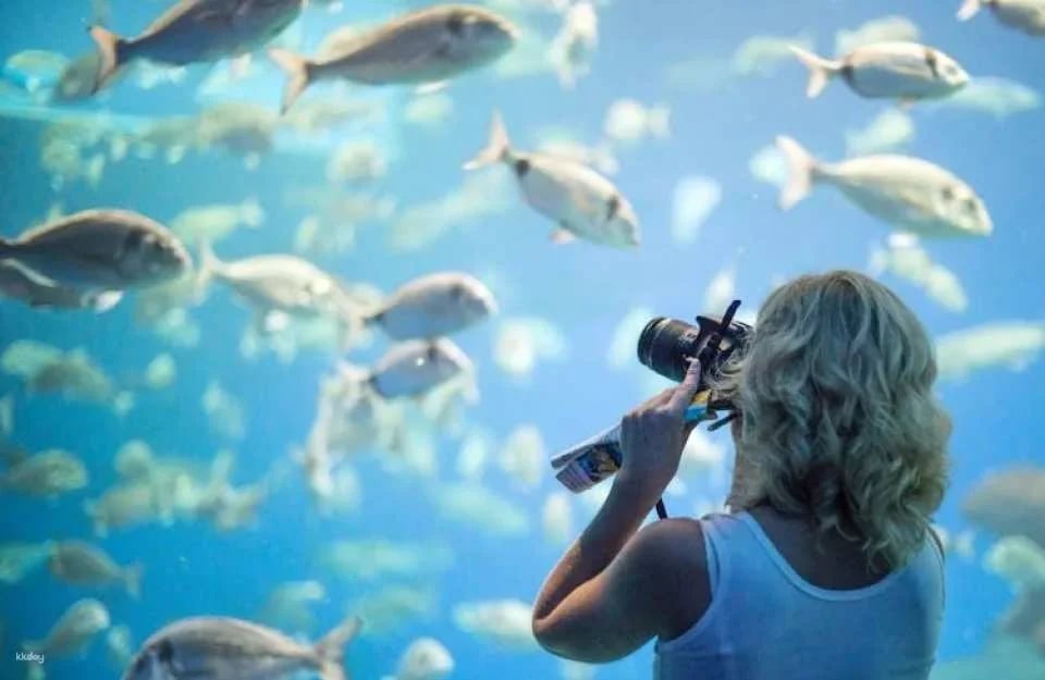 Palma Aquarium ticket