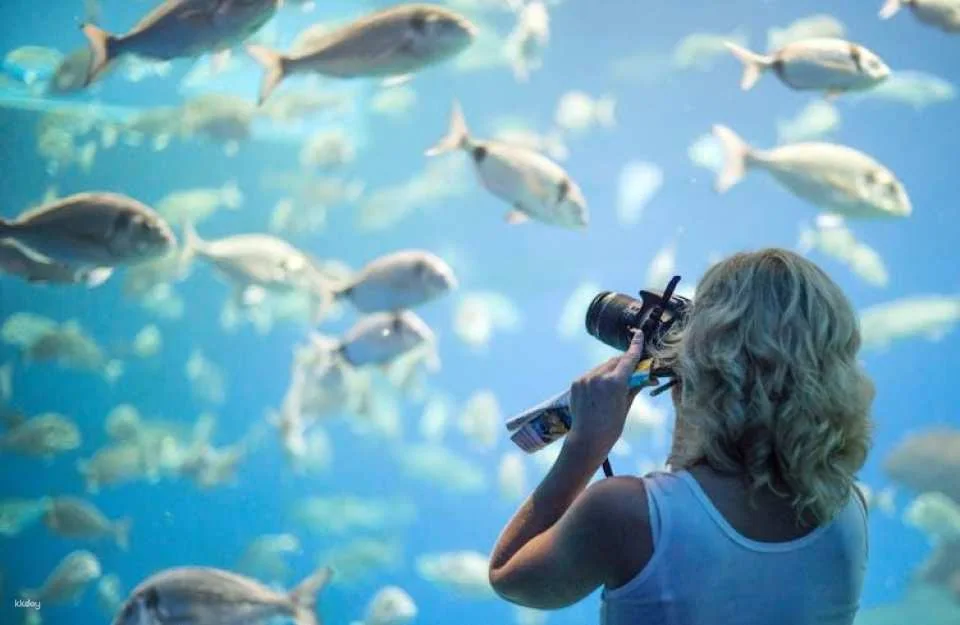 Palma Aquarium ticket