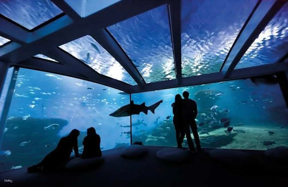 Palma Aquarium ticket