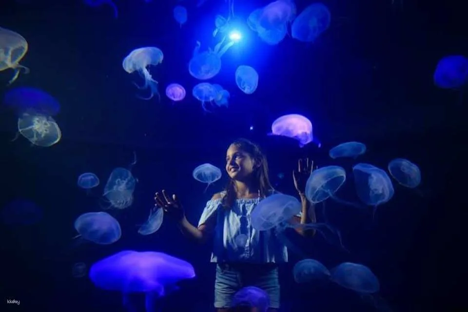 Palma Aquarium ticket