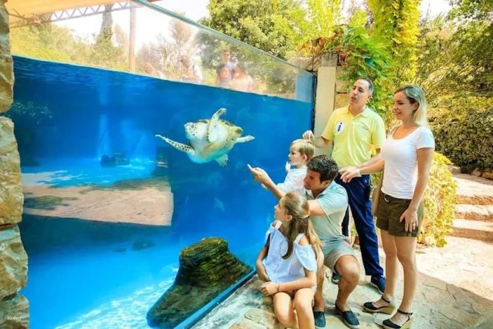 Palma Aquarium ticket