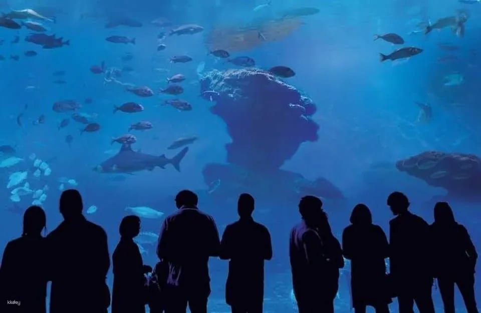 Palma Aquarium ticket