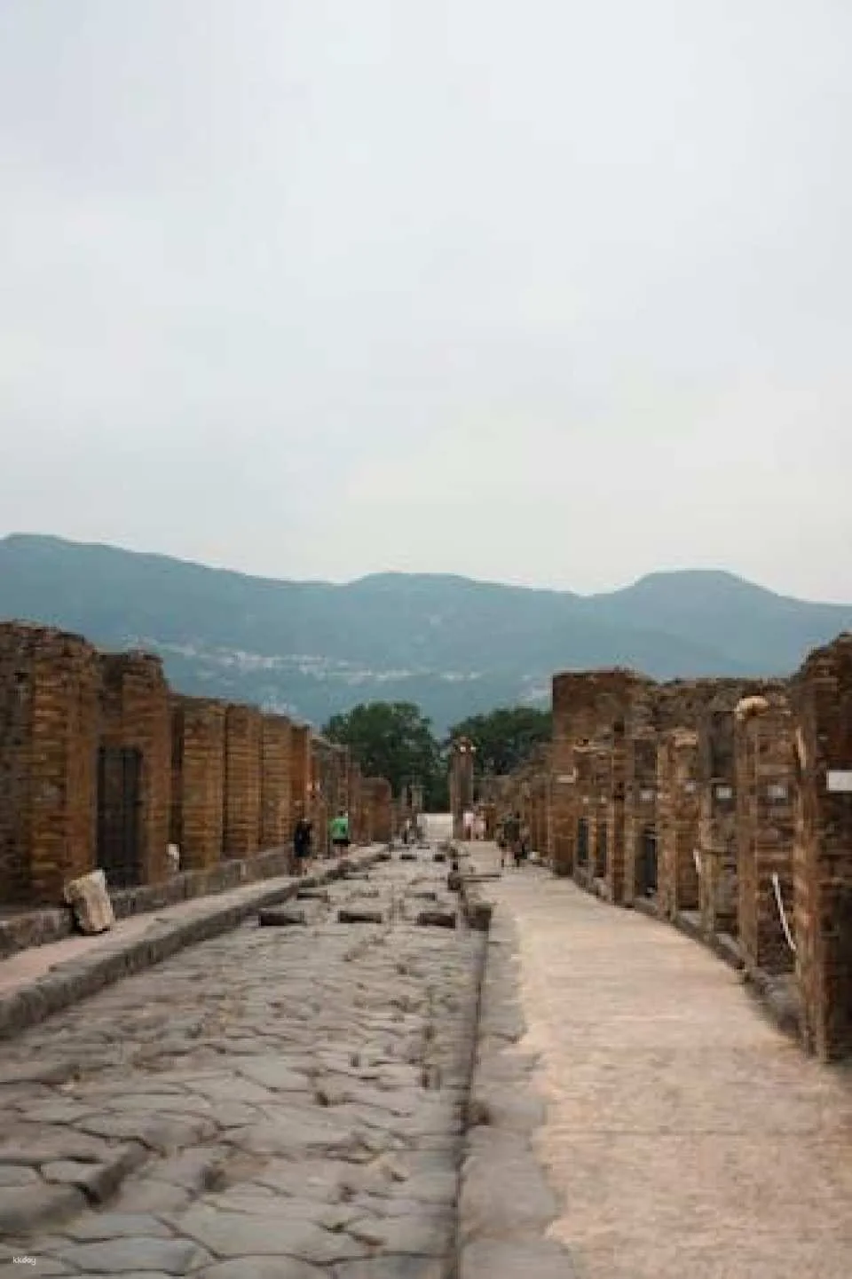 Skip-the-line guided tour of Pompeii ruins with an archaeologist