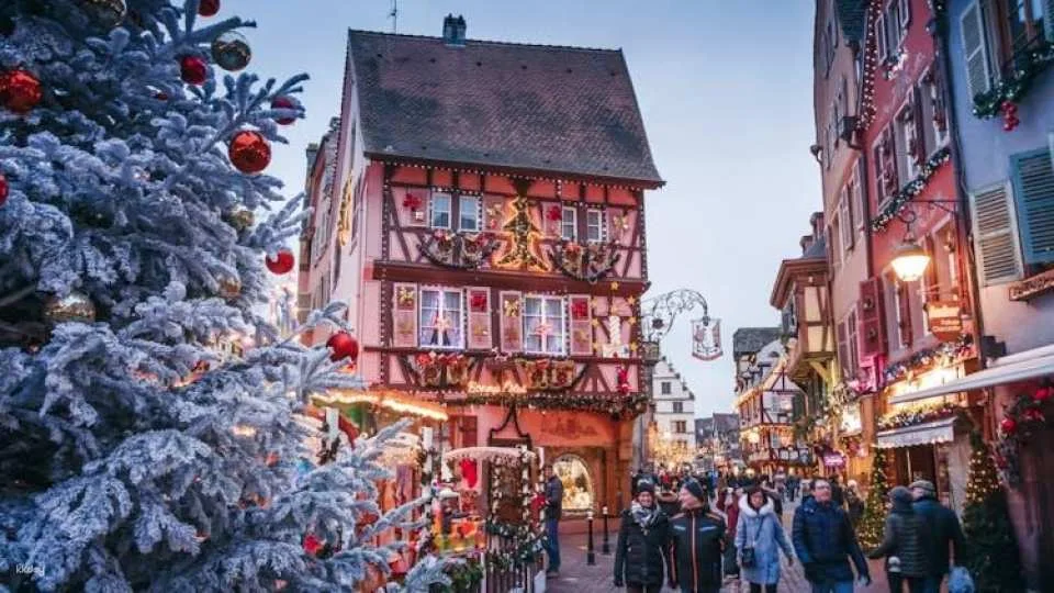 Private day trip to Colmar from Basel with wine tasting