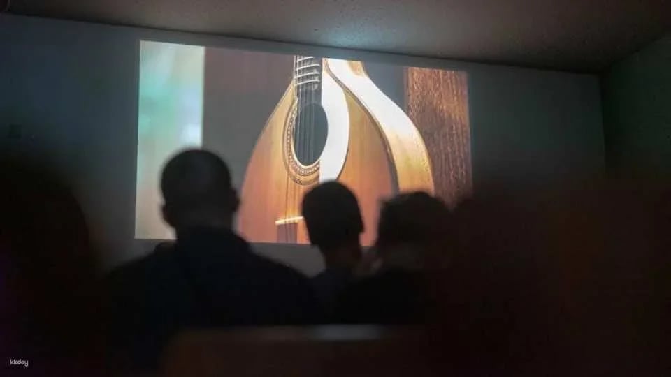 Live Fado performance with Port wine