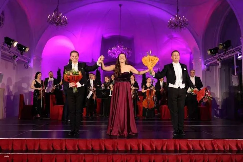 Schönbrunn Christmas market, palace audio-guided tour and concert