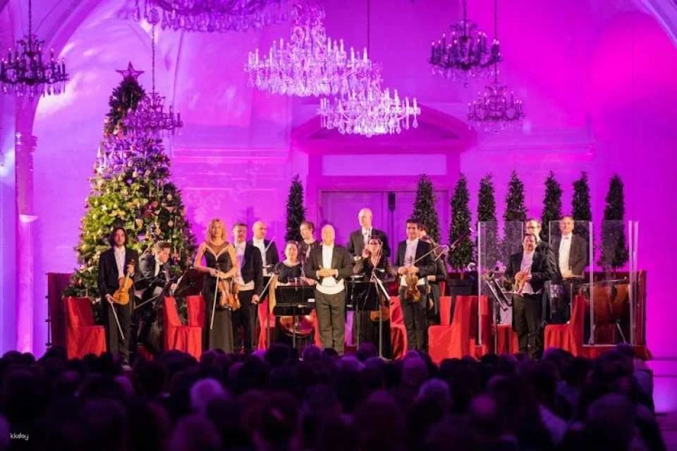 Schönbrunn Christmas market, palace audio-guided tour and concert