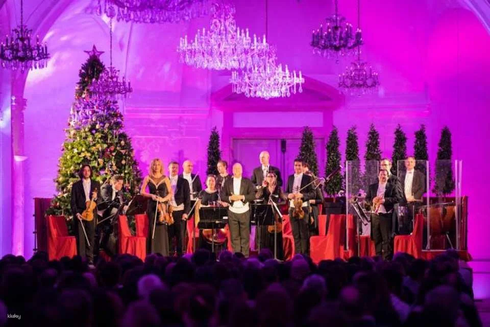 Schönbrunn Christmas market, palace audio-guided tour and concert