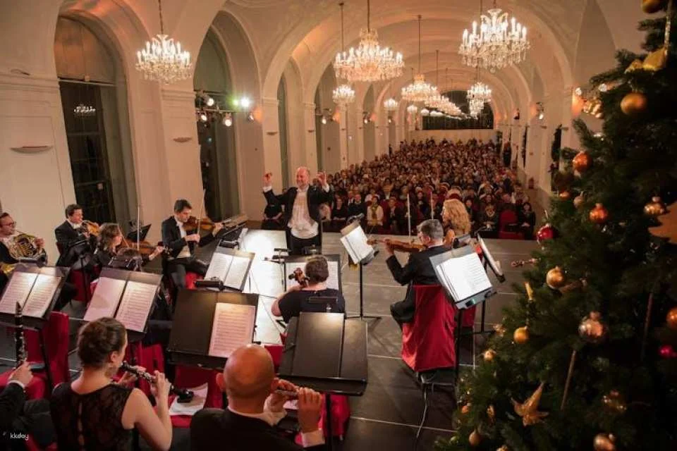Schönbrunn Christmas market, palace audio-guided tour and concert