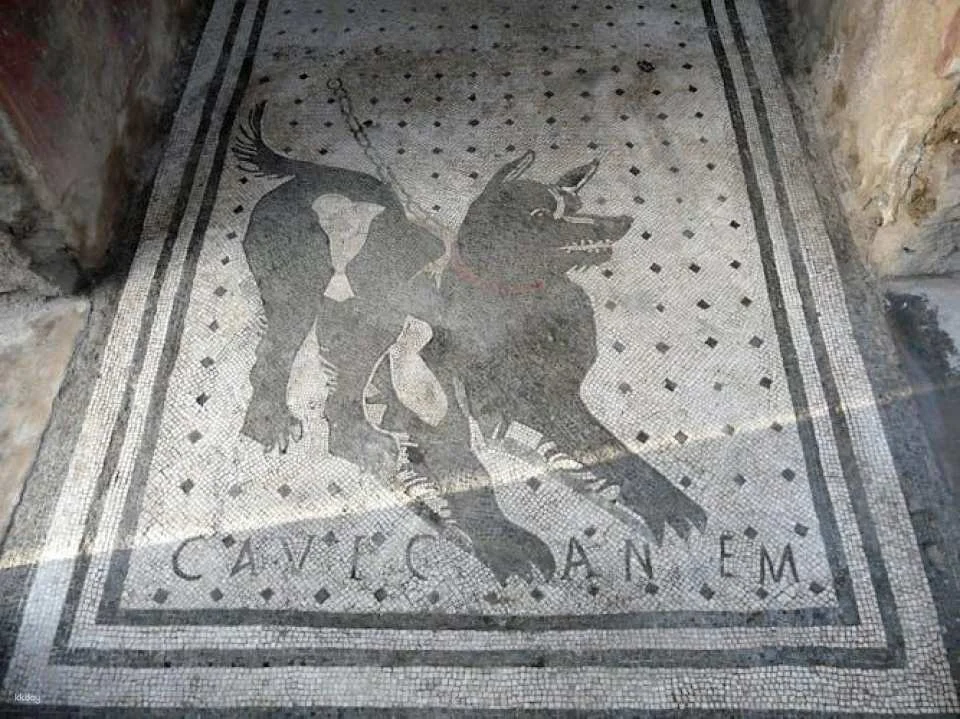 Ancient Pompeii Virtual Museum with Skip-the-Line Entrance Ticket