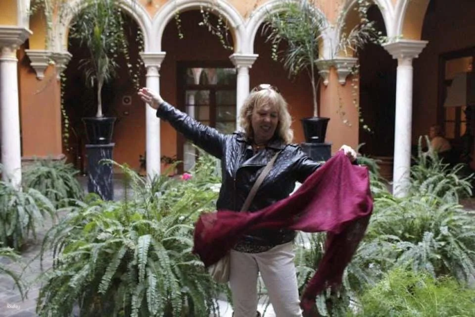 Private Guided Tour of Medinaceli and Lebrija's Palaces