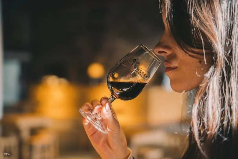 Live Fado show, port wine, and dinner at Fonseca in Porto