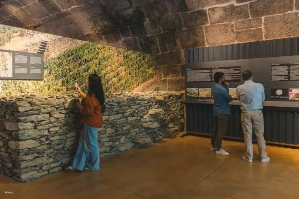 Live Fado show, port wine, and dinner at Fonseca in Porto