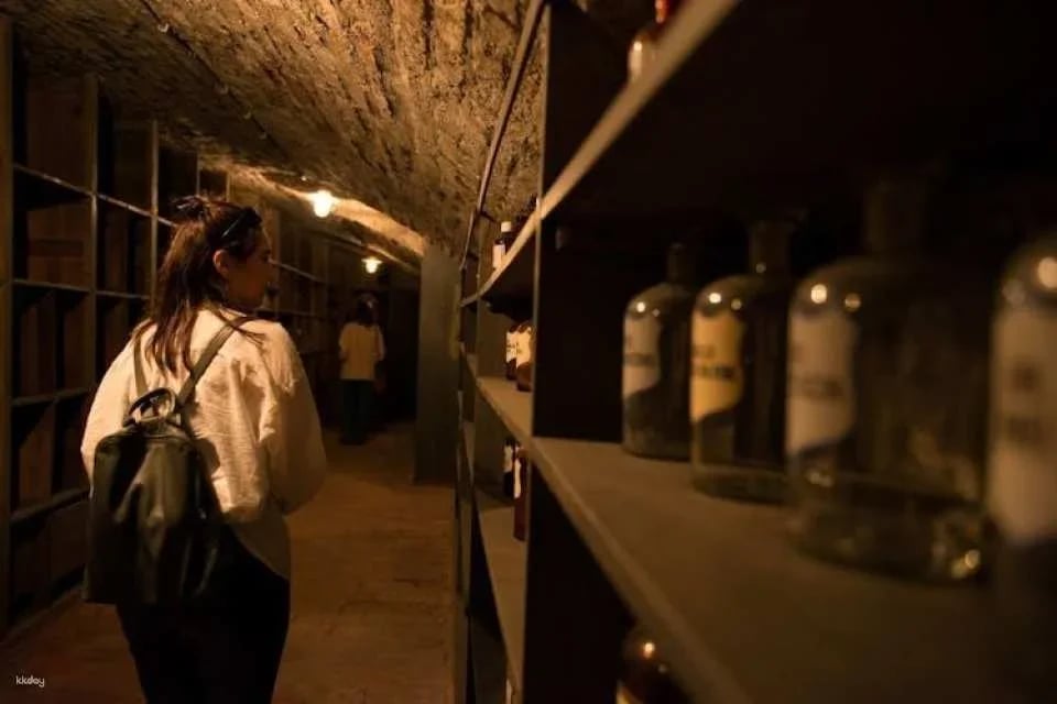 Guided tour into Vienna's hidden underworld