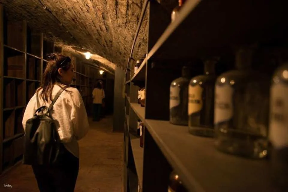 Guided tour into Vienna's hidden underworld