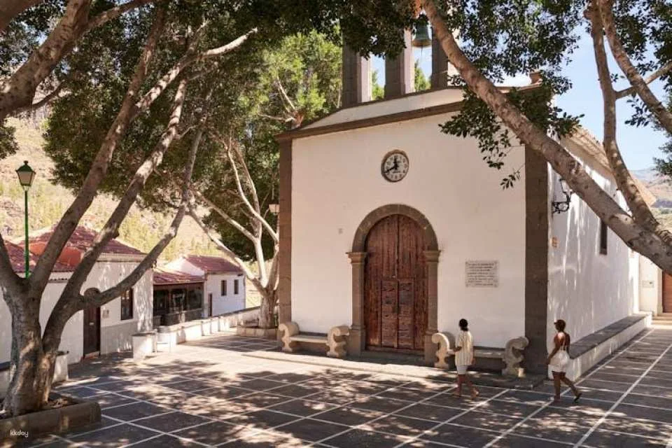 Full-day Gran Canaria tour with Teror, Tejeda and typical lunch