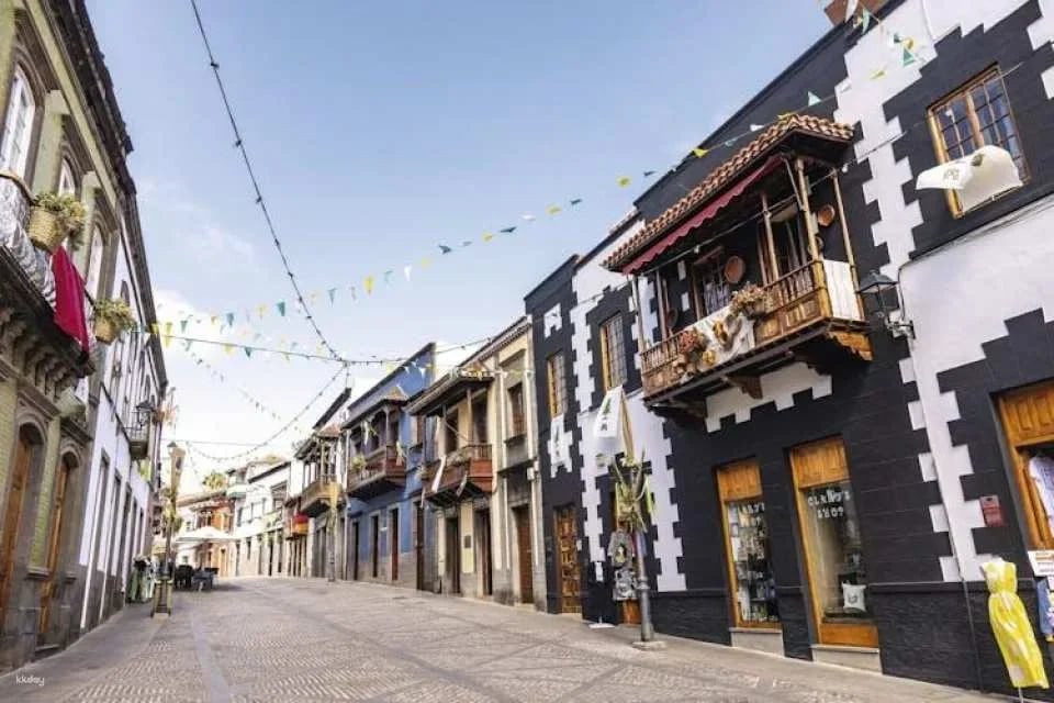 Full-day Gran Canaria tour with Teror, Tejeda and typical lunch