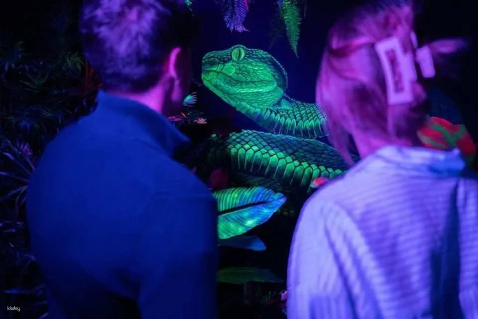 IKONO Madrid immersive experience
