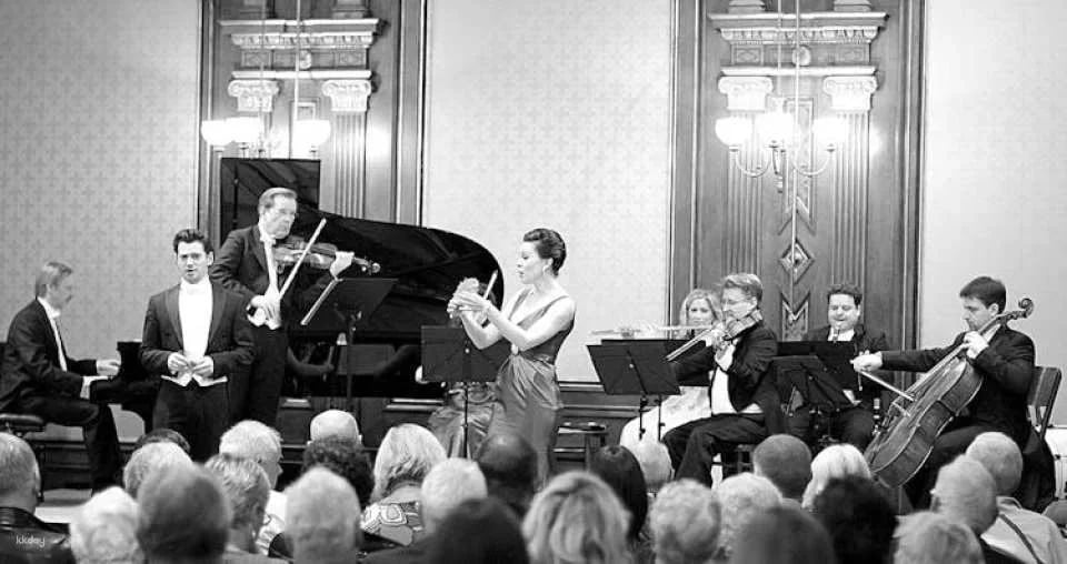 Vienna Supreme Concerts at Palais Eschenbach