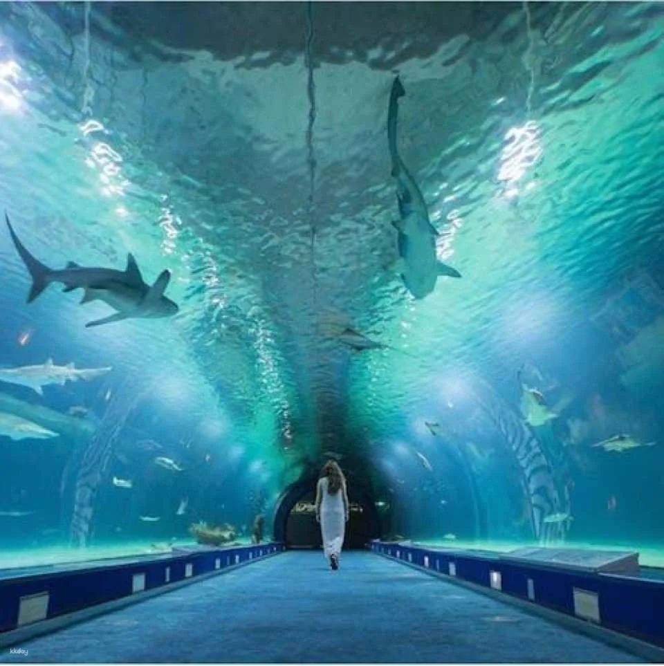 Oceanografic entrance tickets