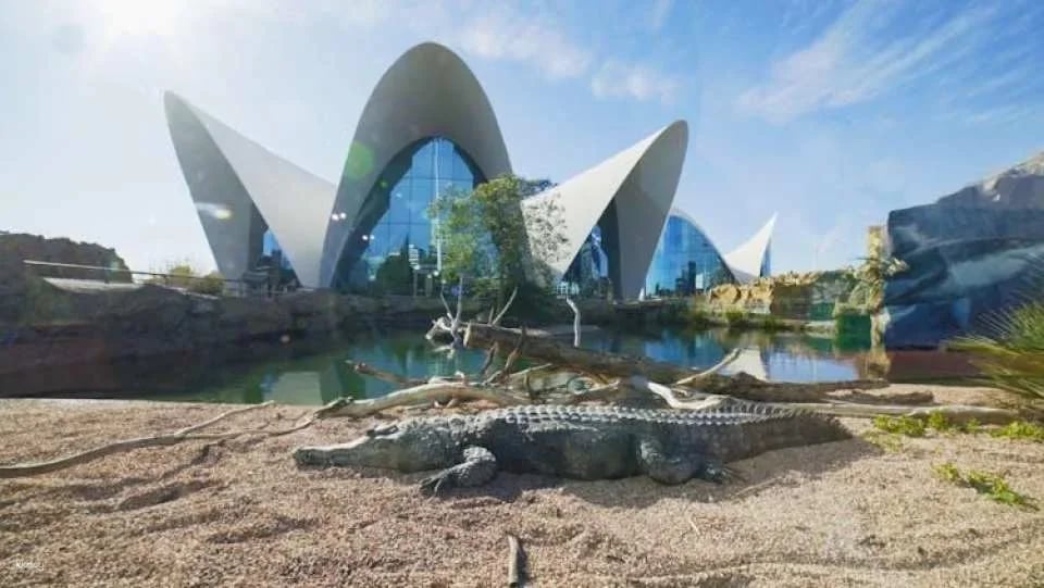 Oceanografic entrance tickets
