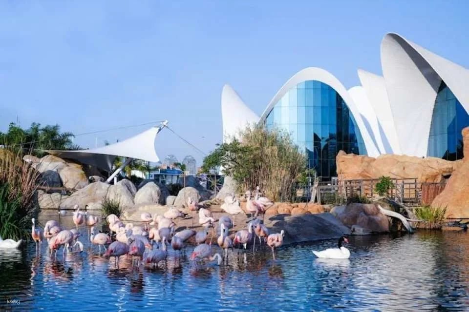 Oceanografic entrance tickets