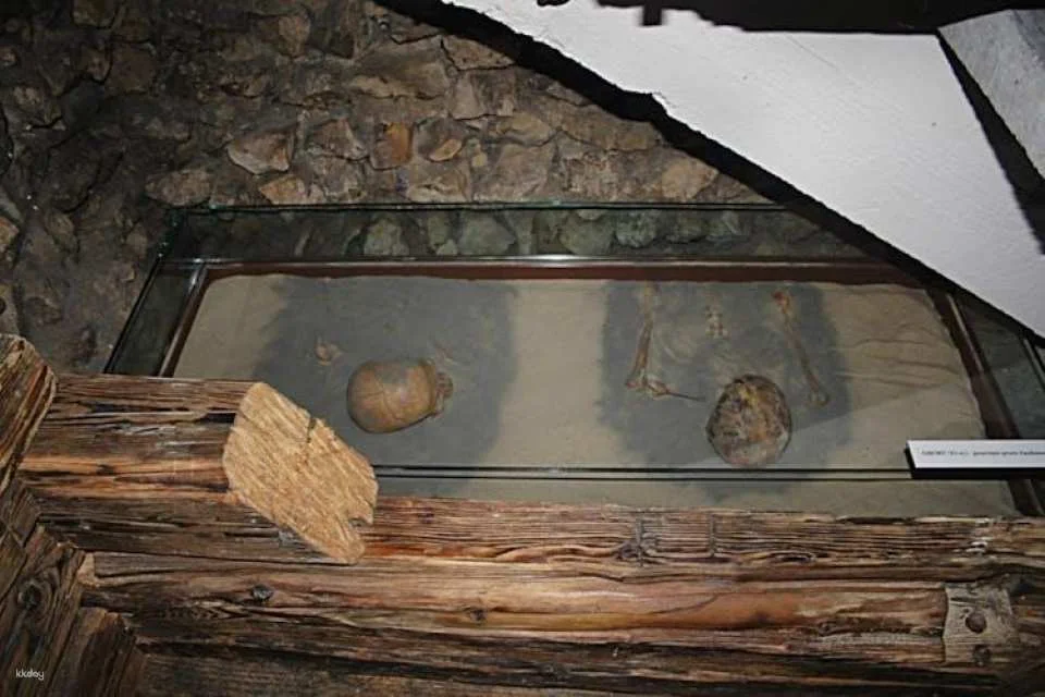Skip-the-line ticket to the Undergrounds of St. Adalbert's Church