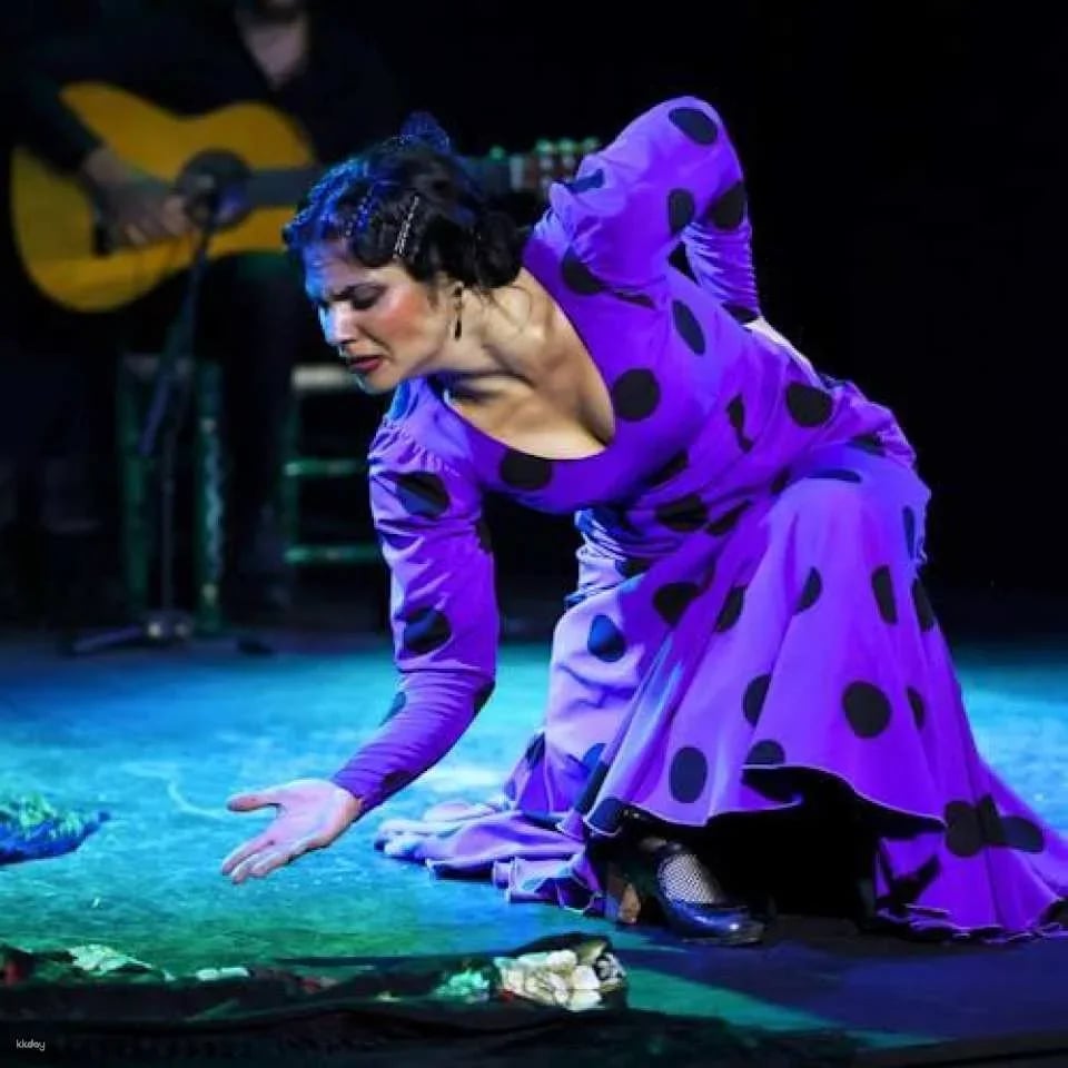 Flamenco Show at Tablao Flamenco Alma