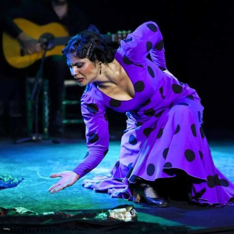 Flamenco Show at Tablao Flamenco Alma
