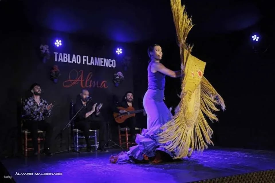 Flamenco Show at Tablao Flamenco Alma