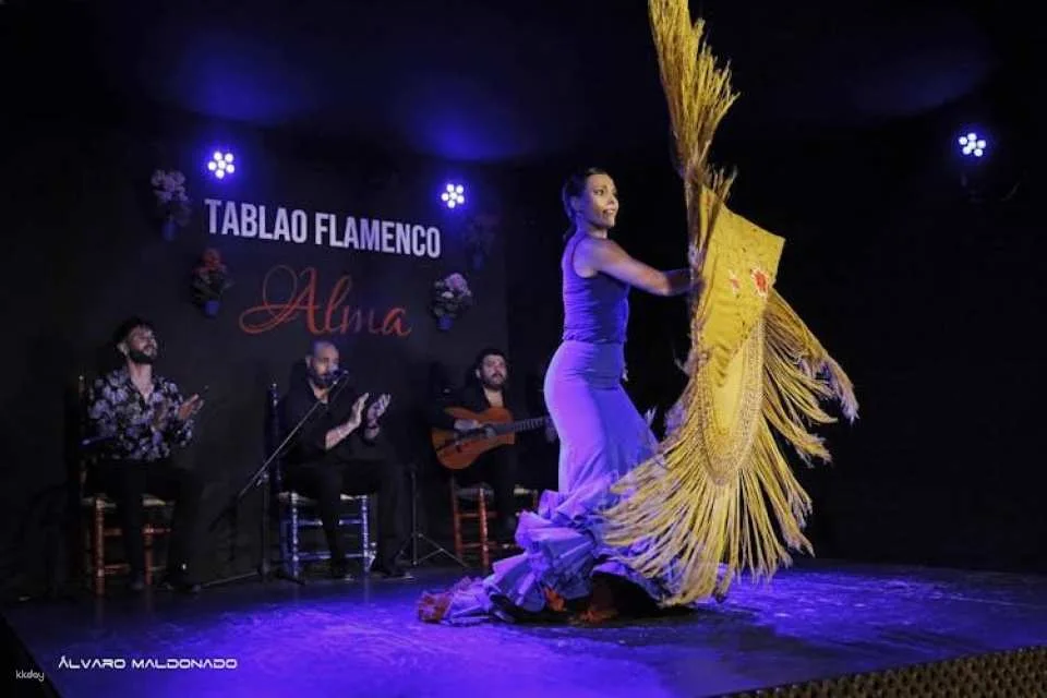 Flamenco Show at Tablao Flamenco Alma
