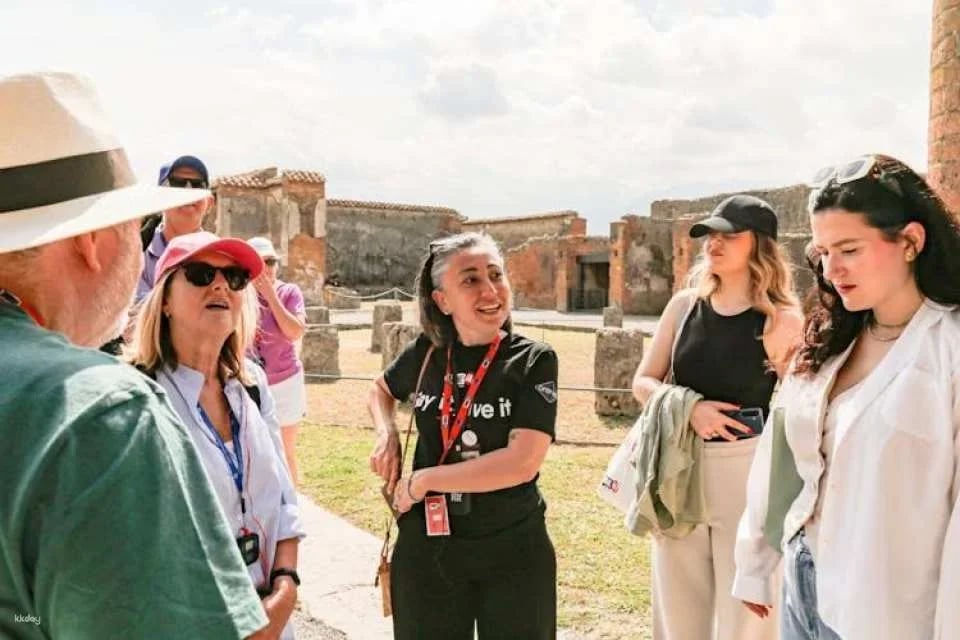 Skip the line Pompeii guided tour from Naples