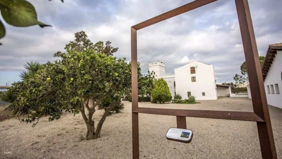 Fundació Más Miro Skip-the-Line Ticket with Audioguide