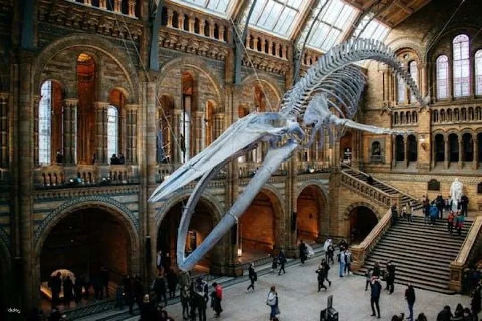 London Natural History Museum reserved entry and audio tour