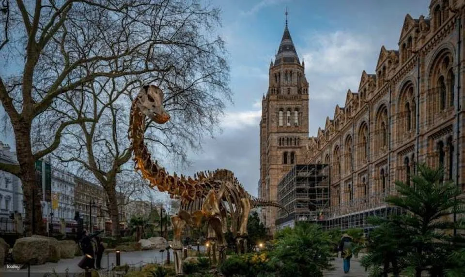 London Natural History Museum reserved entry and audio tour
