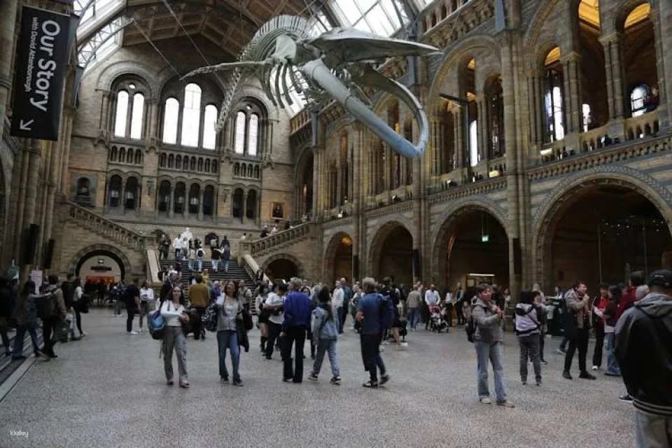London Natural History Museum reserved entry and audio tour