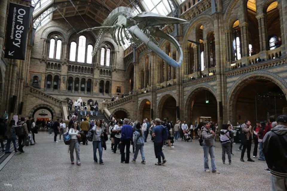 London Natural History Museum reserved entry and audio tour