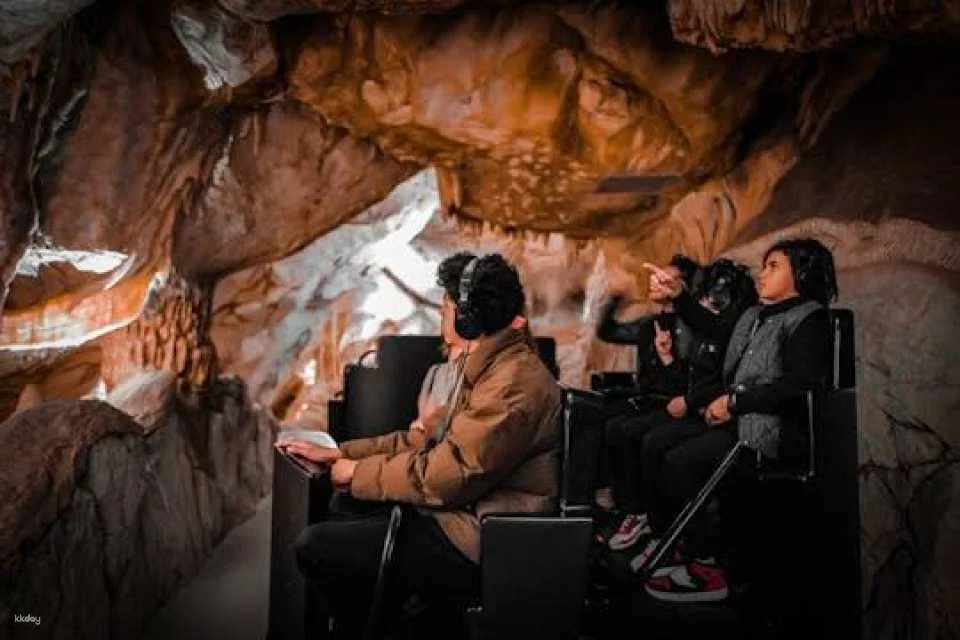 Marseille Cosquer Cave Entry Ticket with City Audio Tour (611931)