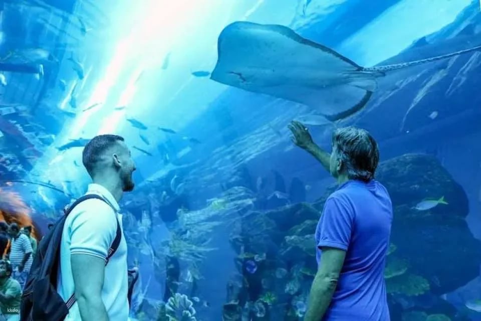 Tickets to the Lanzarote Aquarium in Costa Teguise