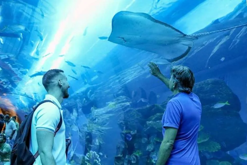 Tickets to the Lanzarote Aquarium in Costa Teguise
