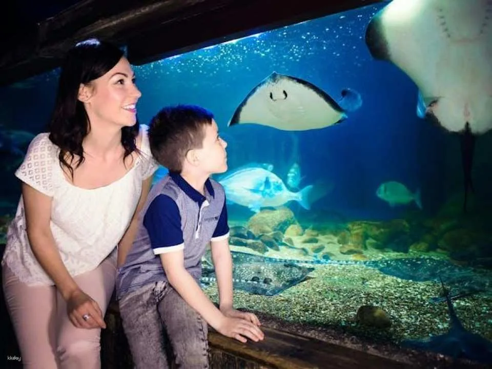 SEA LIFE Manchester entrance tickets